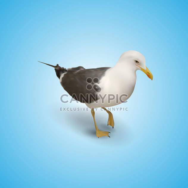 Vector illustration of seagull on a blue background - vector gratuit #128943 