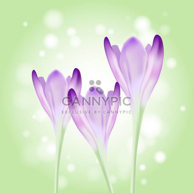 Beautiful spring violet flowers on blurred background - бесплатный vector #130013