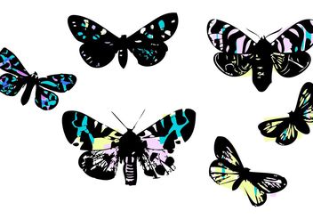 Stained Glass Butterflies by LVF - Free vector #139393