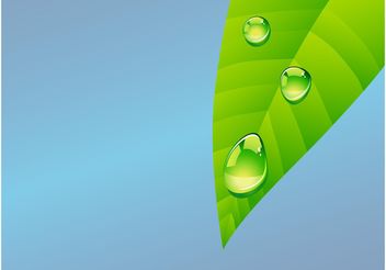 Leaf With Dew - Free vector #145593