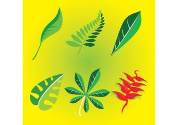 Nature Leafs - Kostenloses vector #145703