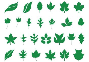 Leaves Silhouettes Set - Kostenloses vector #146413