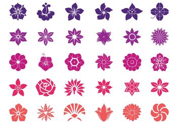 Flower Blossoms Graphics - vector #146483 gratis
