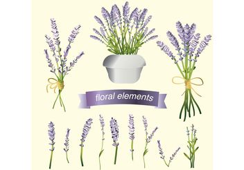 Set of Lavender Flower Vectors - vector gratuit #147433 