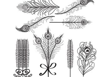 Vector Feathers Birds of Paradise White and Black - vector #156793 gratis