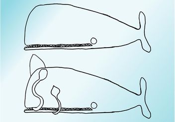 Whale Drawings - vector gratuit #156823 