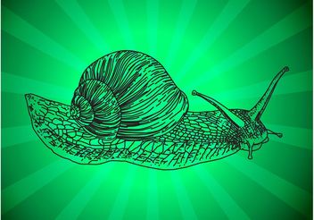 Snail Outline - Free vector #156843