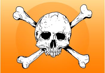 Skull And Bones - vector gratuit #156853 