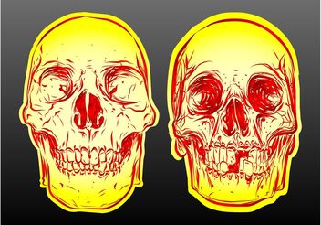 Skull Vectors - Kostenloses vector #157153