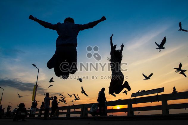 Silhouette of jumping couple - image gratuit #183493 