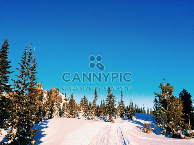 Winter landscape under cloudless blue sky - image #183993 gratis