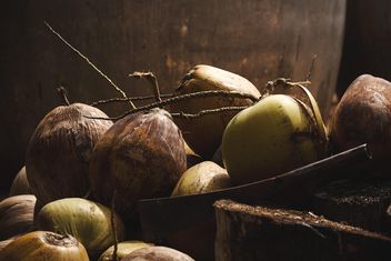 Close-up of ripe coconuts - бесплатный image #186133
