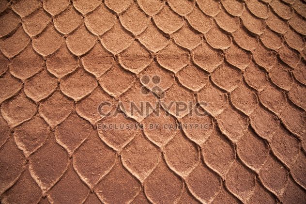 Snake leather texture - Free image #186353