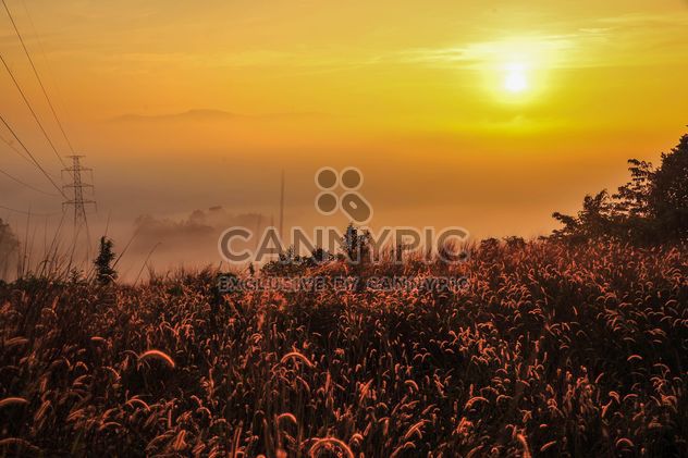 Beautiful sunrise over a misty field - бесплатный image #186473