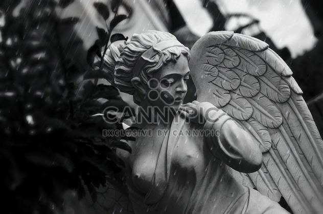 Sculpture of angel on rainy day - image gratuit #186703 