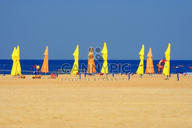 Beach umbrellas on seashore - Free image #187753