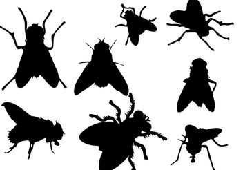 Free Fly Silhouette Vector - vector gratuit #200403 