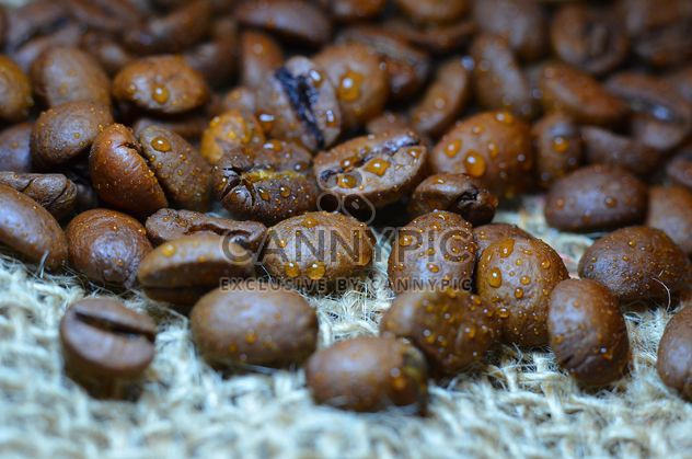 Coffee beans - image gratuit #201083 