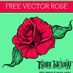 Free Vector Rose - бесплатный vector #216453