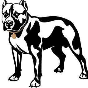 Pit Bull Vector Image - Free vector #216513