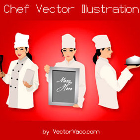 Chef Vector Illustration - Free vector #216863