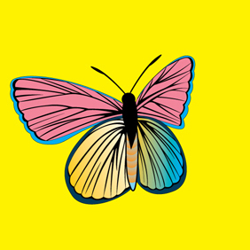 PM Butterfly - vector gratuit #222173 