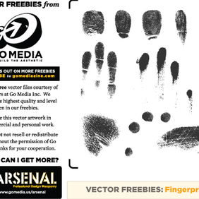 Fingerprints - Free vector #223063