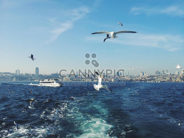 seagulls flying and boat at sea - бесплатный image #272313