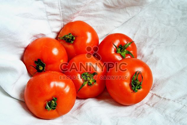 Six Tomatoes - image #274833 gratis