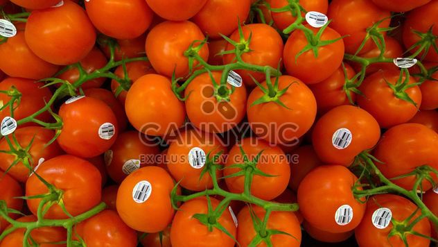 Pile of Red tomatoes - Kostenloses image #274863
