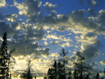 Cool Sky - Kostenloses image #276313