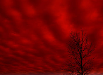Blood Red Sky - image gratuit #276643 