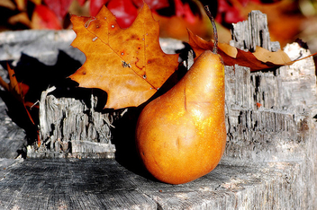 Pear-ish Fall-ish Composition - Kostenloses image #277643