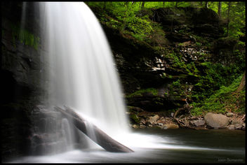 Ricketts Glen State Park - Free image #278453