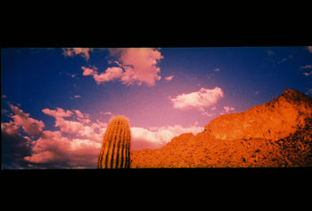 Picacho Saguaro in Titanium XPRO - бесплатный image #280403