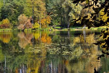 Autumn lake - Free image #280933
