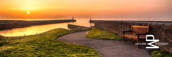 Girvan Bench Sunset - Free image #282543