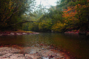 Kisatchie Bayou in the rain, Fall 2010 - Kostenloses image #284603