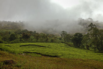 Megamalai, A Heaven in Tamilnadu {EXPLORED} - бесплатный image #285183
