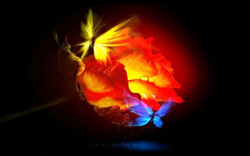 Ember-Rose-Butterfly-Love - image gratuit #285623 