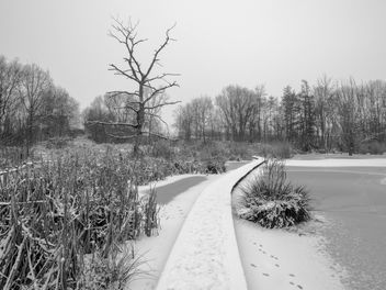 Winter in 't Vinne - бесплатный image #287493