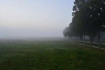 Morning fog - image #289293 gratis