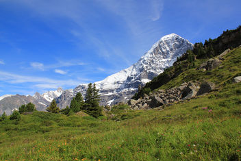 The impressive Eiger - Kostenloses image #294023