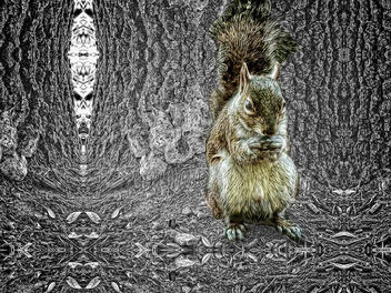 Squirrelly World We Live In - image gratuit #294503 