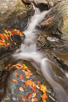Glen Artney Stream - HDR - image #294653 gratis