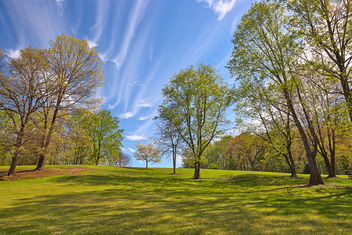 Meadowlark Gardens - HDR - image #295093 gratis