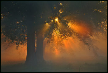 Dawns early light - бесплатный image #298583