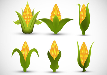 Ear of corn - Free vector #305593