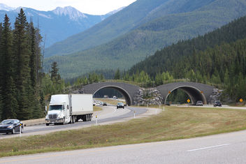 Trans Canada Highway - Free image #306943