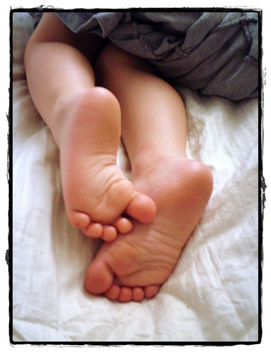 Lestat's Cute Little Toes - image gratuit #308173 